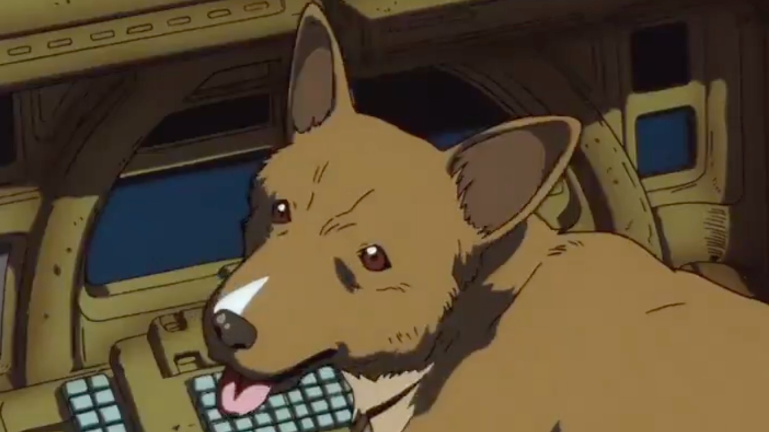 Cowboy Bebop Will Be Streaming on Netflix Next Week